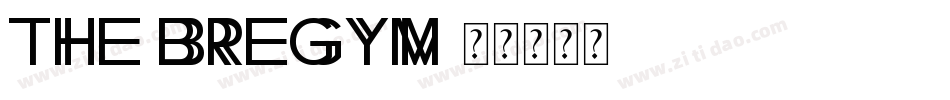 The Bregym字体转换